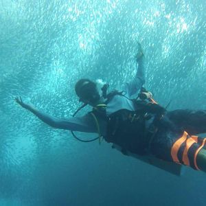 Meet your Posher, Dave